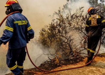 Πυρκαγιά στη Λέσβο, στην περιοχή Ρογκάδα των Βατερών . Σάββατο 23 Ιουλίου 2022  (ΠΑΝΑΓΙΩΤΗΣ ΜΠΑΛΑΣΚΑΣ/EUROKINISSI)